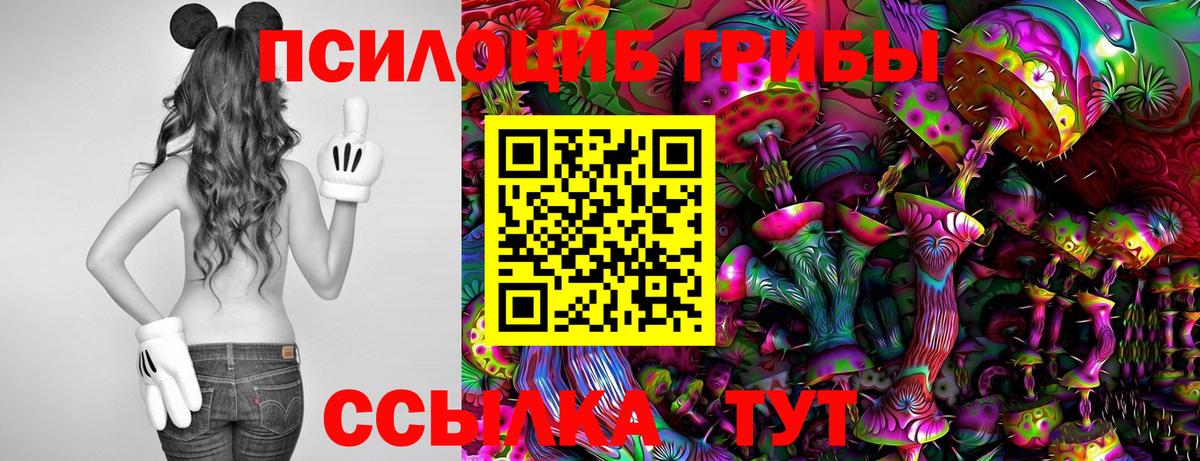 Псилоцибиновые грибы Cubensis Тобольск