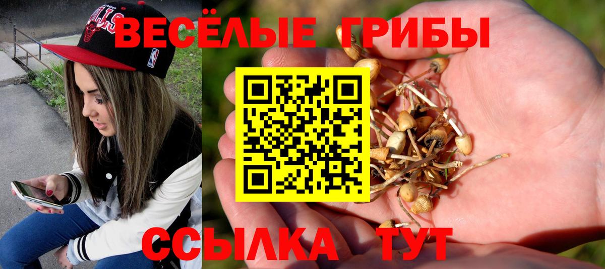 Тобольск  Псилоцибиновые грибы MAGIC MUSHROOMS  Вход с VPN 